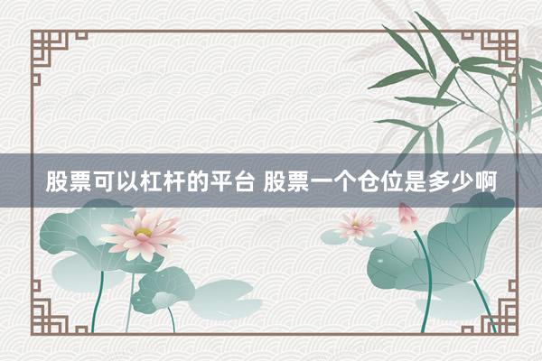 股票可以杠杆的平台 股票一个仓位是多少啊