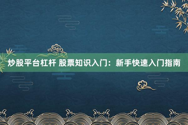 炒股平台杠杆 股票知识入门：新手快速入门指南