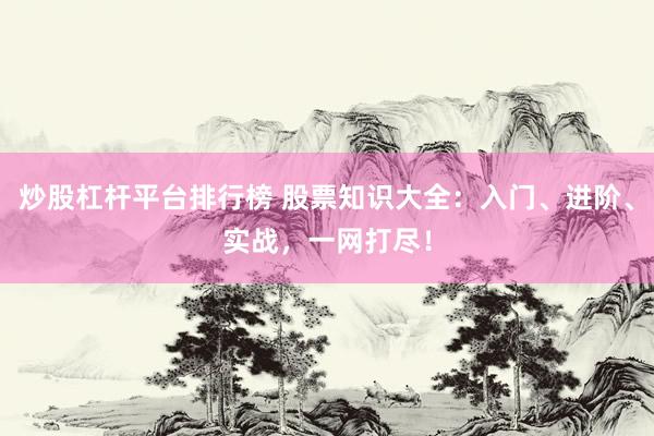 炒股杠杆平台排行榜 股票知识大全：入门、进阶、实战，一网打尽！