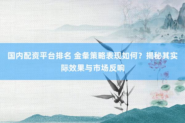国内配资平台排名 金夆策略表现如何？揭秘其实际效果与市场反响