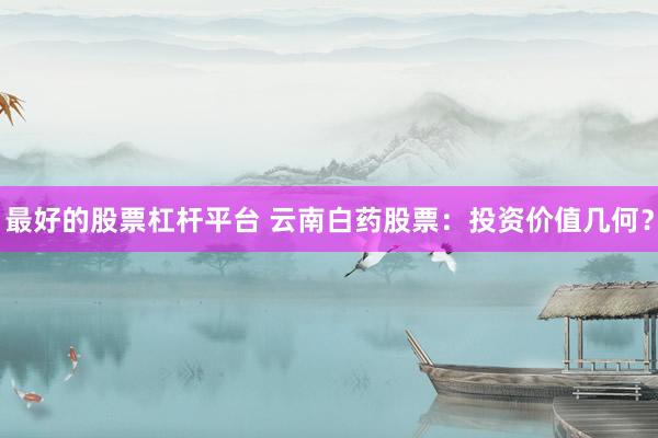 最好的股票杠杆平台 云南白药股票：投资价值几何？
