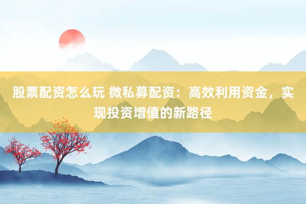 股票配资怎么玩 微私募配资：高效利用资金，实现投资增值的新路径