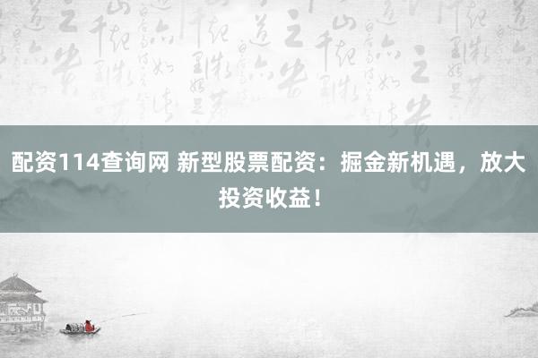 配资114查询网 新型股票配资：掘金新机遇，放大投资收益！