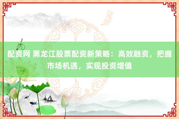 配资网 黑龙江股票配资新策略：高效融资，把握市场机遇，实现投资增值