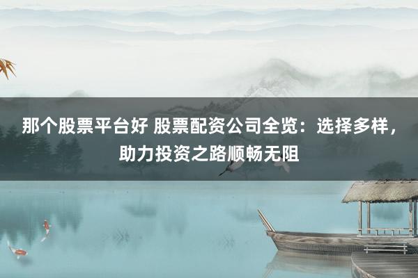 那个股票平台好 股票配资公司全览：选择多样，助力投资之路顺畅无阻