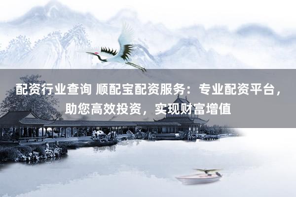 配资行业查询 顺配宝配资服务：专业配资平台，助您高效投资，实现财富增值