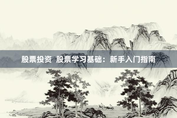 股票投资  股票学习基础：新手入门指南