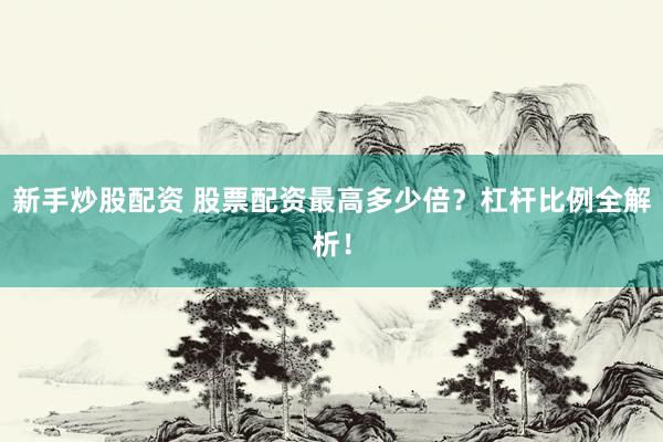 新手炒股配资 股票配资最高多少倍？杠杆比例全解析！