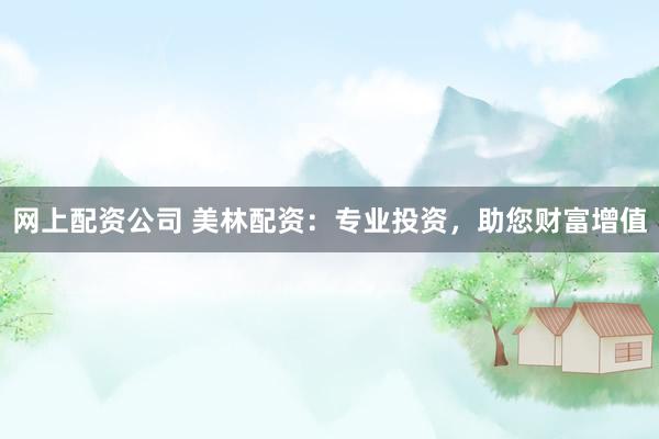 网上配资公司 美林配资：专业投资，助您财富增值