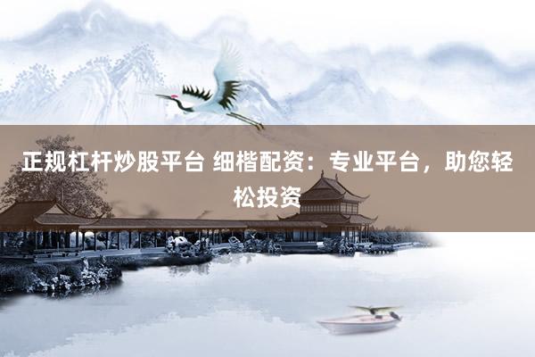 正规杠杆炒股平台 细楷配资：专业平台，助您轻松投资