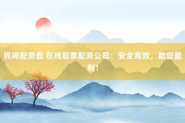 民间配资盘 在线股票配资公司:安全高效,助您盈利!