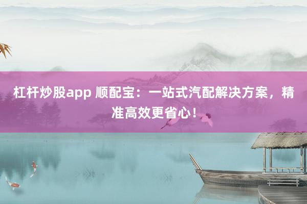 杠杆炒股app 顺配宝:一站式汽配解决方案,精准高效更省心!