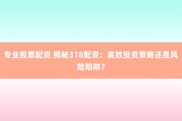 专业股票配资 揭秘318配资：高效投资策略还是风险陷阱？