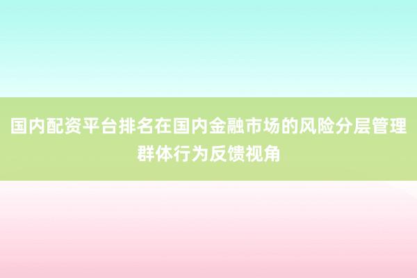 国内配资平台排名在国内金融市场的风险分层管理群体行为反馈视角