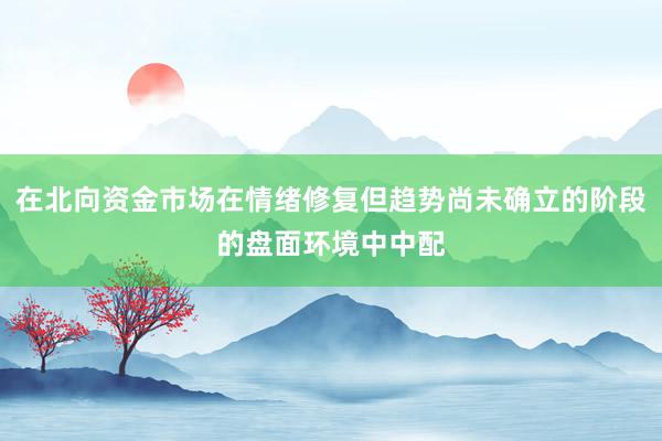 在北向资金市场在情绪修复但趋势尚未确立的阶段的盘面环境中中配