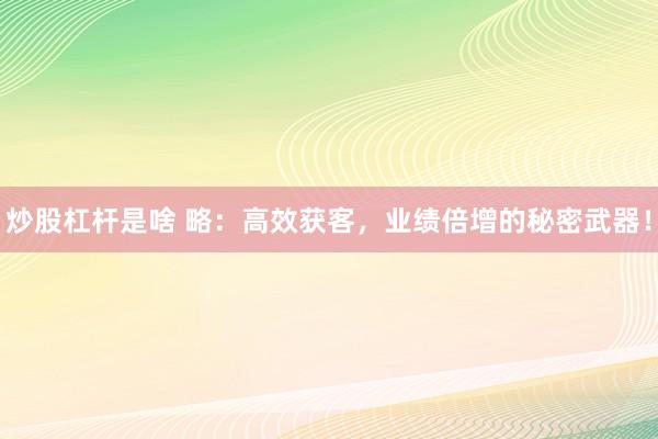炒股杠杆是啥 略：高效获客，业绩倍增的秘密武器！