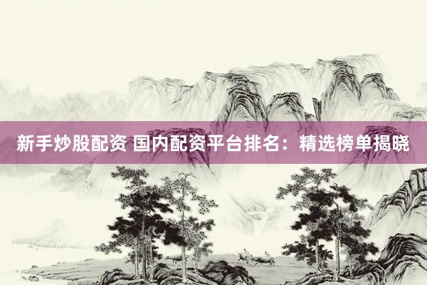 新手炒股配资 国内配资平台排名：精选榜单揭晓