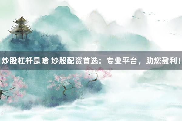 炒股杠杆是啥 炒股配资首选:专业平台,助您盈利!